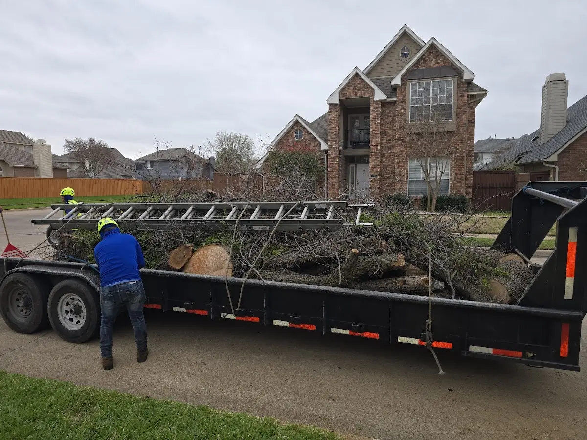 Expert Tree Pest Control with proper safety equipment in Prairie Du Chien